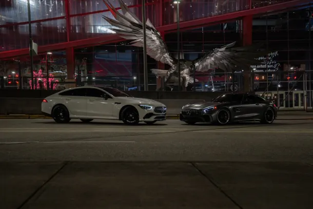 ווילד קסינו קזינו אפליקציית Android/iOS